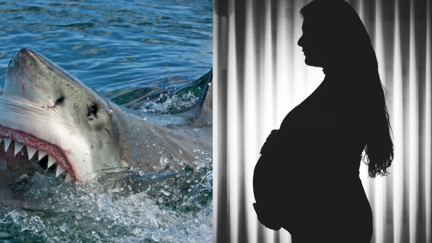 Silueta mujer embarazada y tiburón