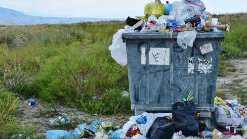 Captan a mujer tirando perritos recién nacidos en basurero